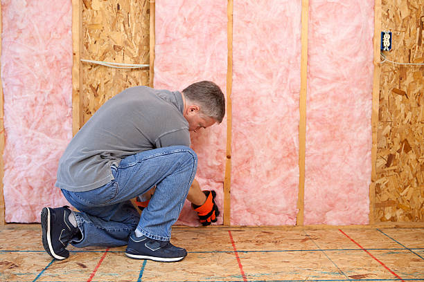 Best Types of Insulation in , DC