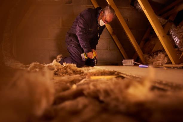 Best Insulation for Specific Applications in , DC