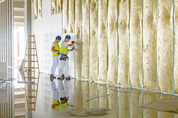 Best Insulation Installation Services in , DC